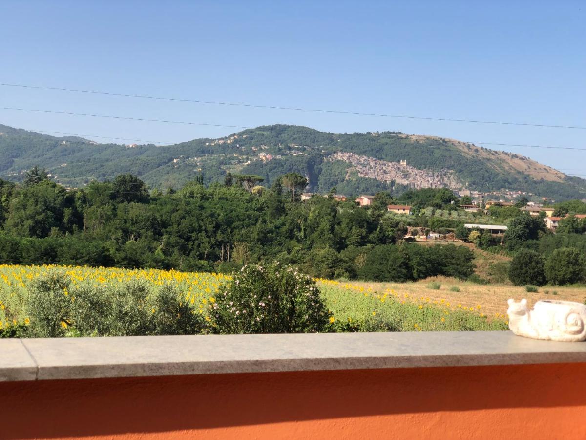 Dreams Valley Valmontone Exterior foto